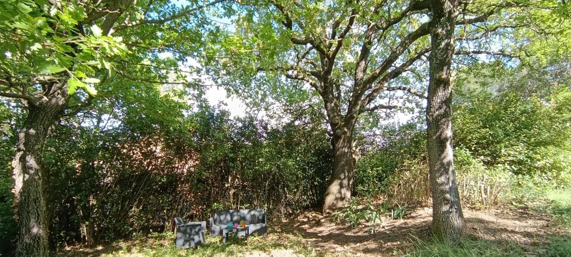 Les Lilas Des Chenes Piolenc Eksteriør billede