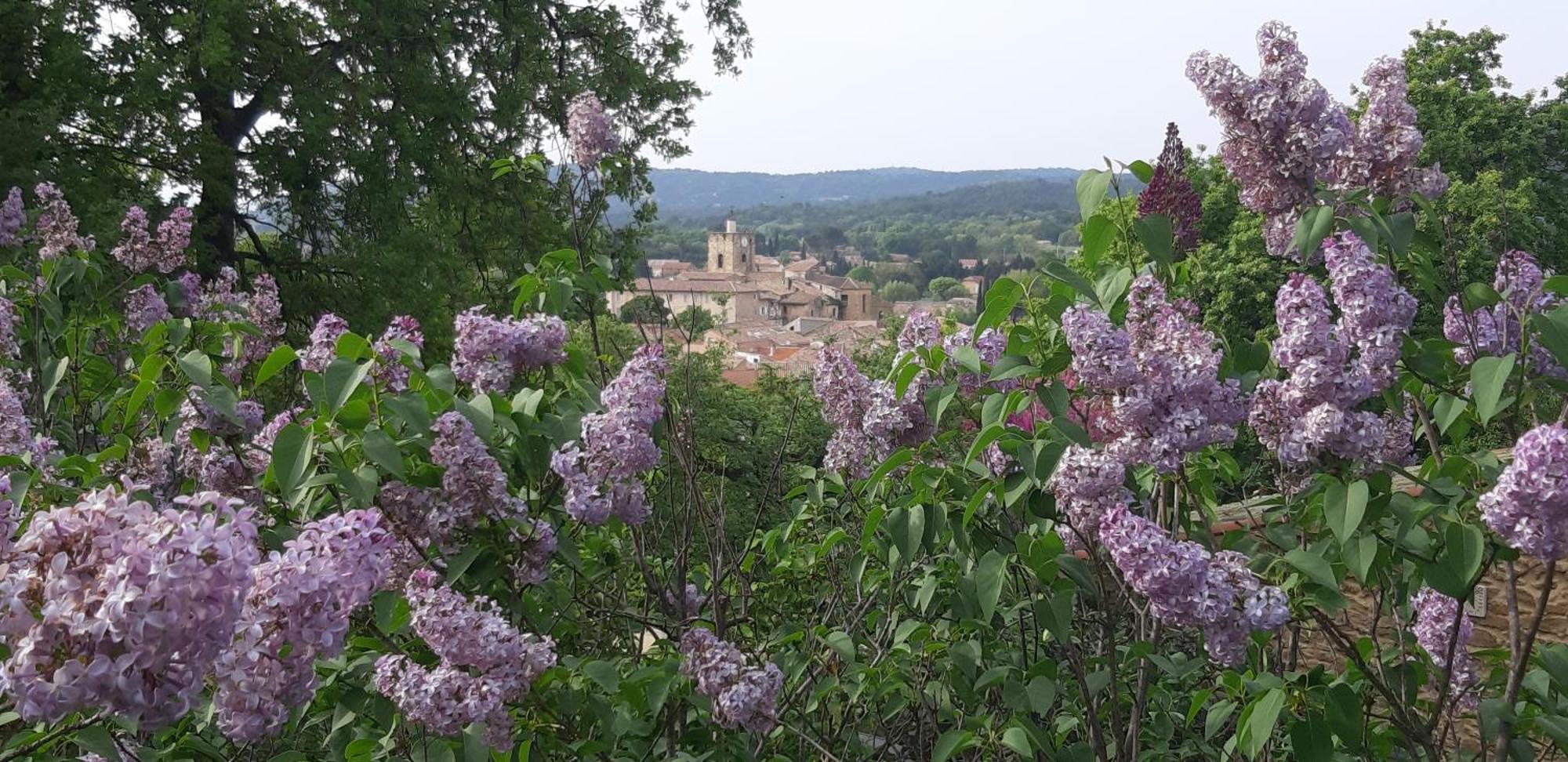 Les Lilas Des Chenes Piolenc Eksteriør billede